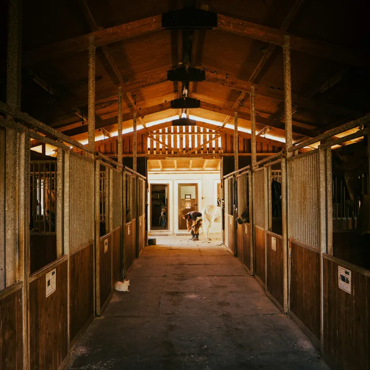 Άδεια σταβλισμού