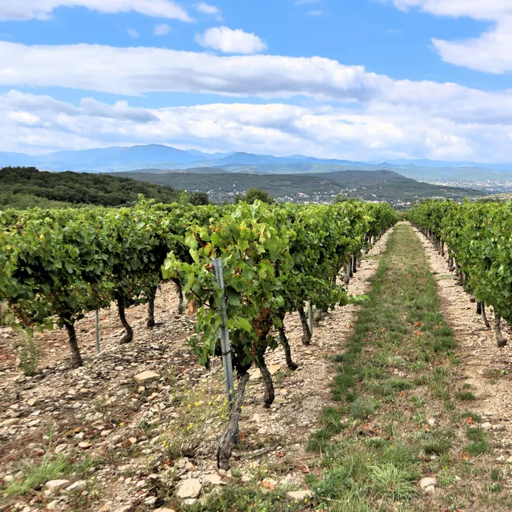 Δήλωση συγκομιδής, παραγωγής και αποθήκης