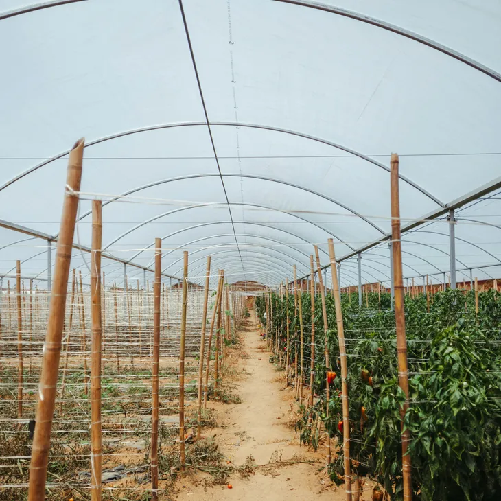 Σχέδια βελτίωσης